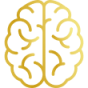 a3